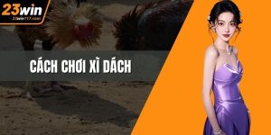 Cách Chơi Xì Dách Thông Minh Để Nhận Quà Khủng Tại 23WIN