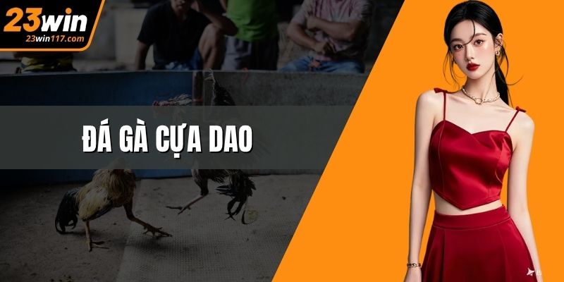 Đá Gà Cựa Dao – Cuộc Đọ Sức Sinh Tử Trong Thế Giới 23WIN