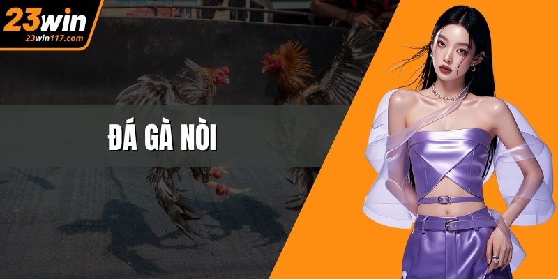 Đá Gà Nòi – Tinh Hoa Đối Kháng Và Nghệ Thuật Huấn Luyện Đỉnh