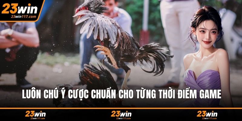 Luôn chú ý cược chuẩn cho từng thời điểm game