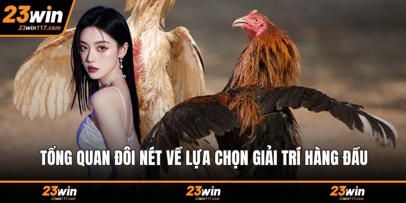 Tổng quan đôi nét về lựa chọn giải trí hàng đầu