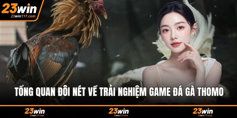 Tổng quan đôi nét về trải nghiệm game đá gà Thomo