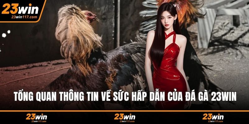 Tổng quan thông tin về sức hấp dẫn của đá gà 23WIN